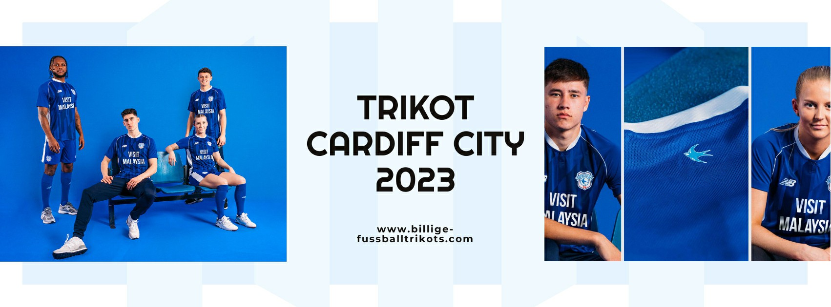 Cardiff City Trikot 2023-2024