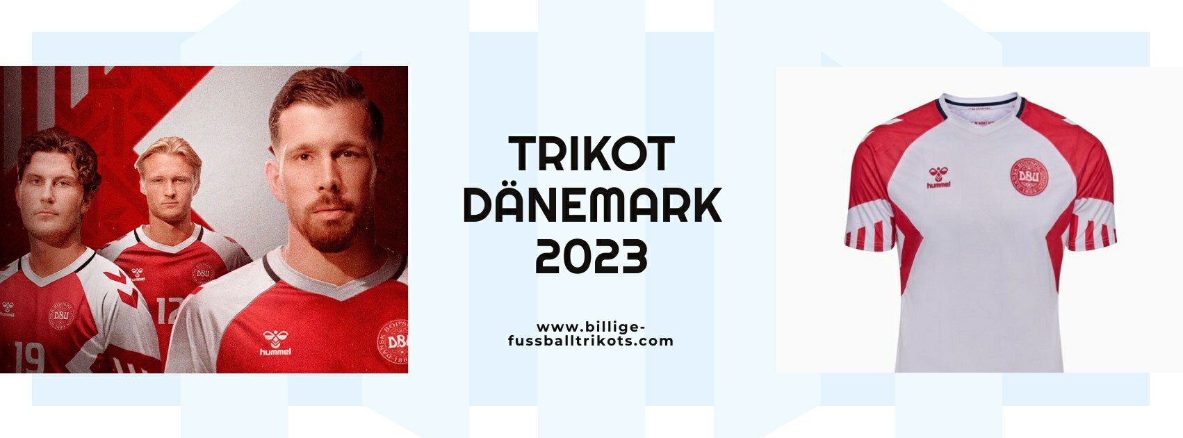 Dänemark Trikot 2023-2024