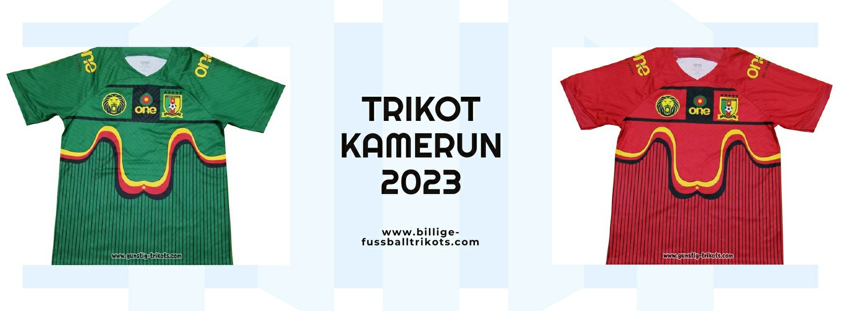 Kamerun Trikot 2023-2024