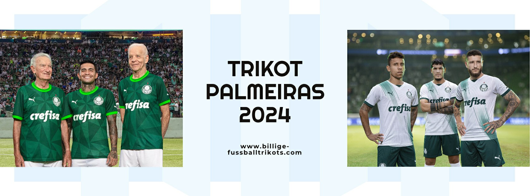 Palmeiras Trikot 2024-2025