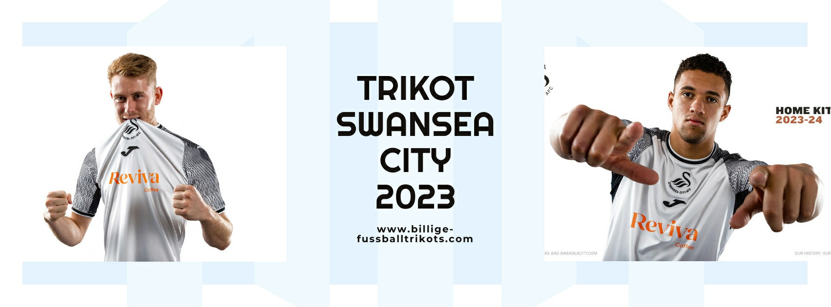 Swansea City Trikot 2023-2024