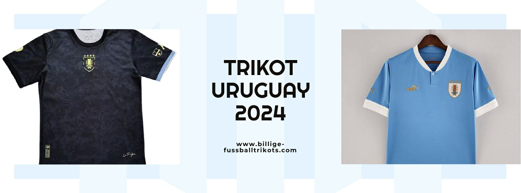 Uruguay Trikot 2024-2025